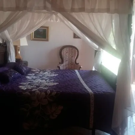 La Carrasca 2*